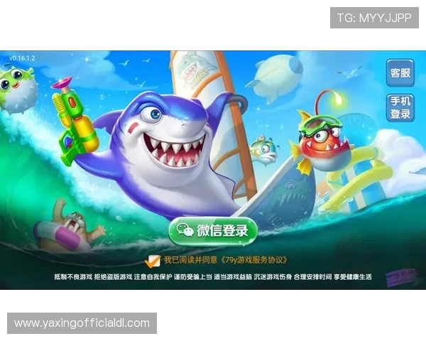 亚星游戏官网登录入口手机版关于账号安全与登录问题的详细解决方案